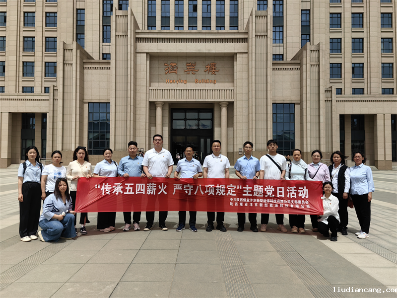 沣京公司党支部开展“传承五四薪火 强化作风建设”主题党日活动01.png