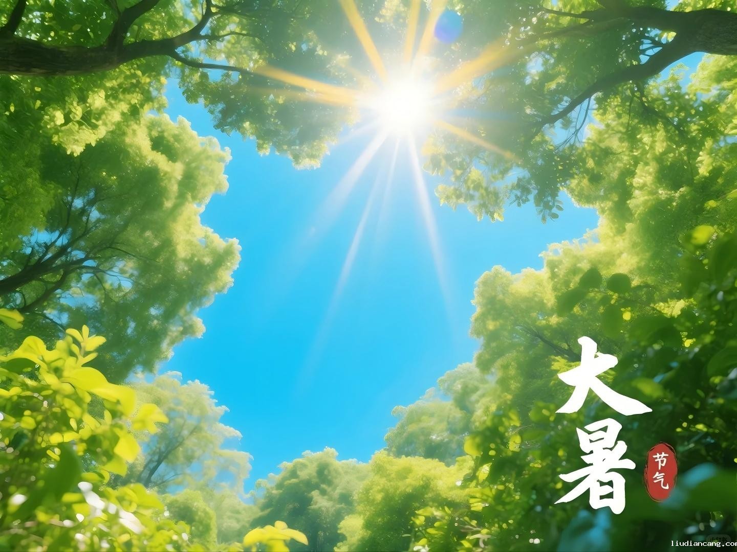 WPS图片(1).jpg